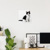Cute Funny kitten black and white cat Poster (Thuiskantoor)