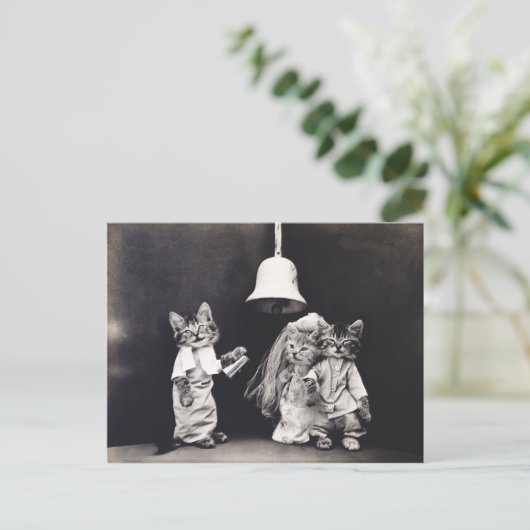 Cute  Funny Kitten Couple Wedding Ceremony Briefkaart (Staand voorkant)