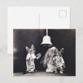 Cute  Funny Kitten Couple Wedding Ceremony Briefkaart (Voorkant / Achterkant)