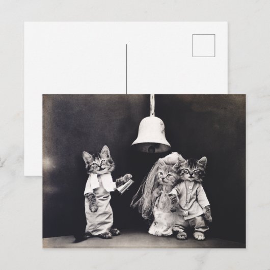 Cute  Funny Kitten Couple Wedding Ceremony Briefkaart (Voorkant / Achterkant)