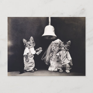 Cute  Funny Kitten Couple Wedding Ceremony Briefkaart