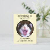 Cute Funny Kitten Foto adopteert een Shelter Cat Briefkaart (Staand voorkant)