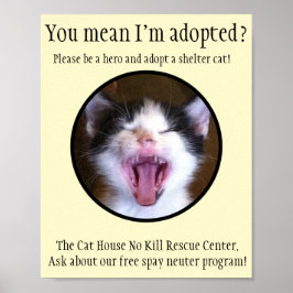 Cute Funny Kitten Foto adopteert een Shelter Cat Poster
