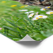 Cute Funny Kitten Loving Flowers Poster (Hoek)