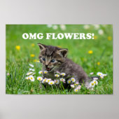 Cute Funny Kitten Loving Flowers Poster (Voorkant)