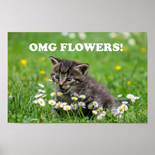 Cute Funny Kitten Loving Flowers Poster