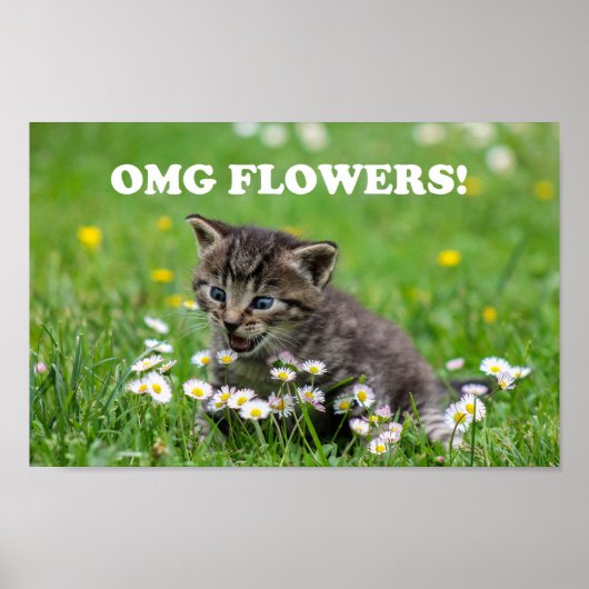 Cute Funny Kitten Loving Flowers Poster (Voorkant)