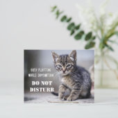 Cute Funny Kitten stoort niet Briefkaart (Staand voorkant)
