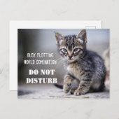 Cute Funny Kitten stoort niet Briefkaart (Voorkant / Achterkant)