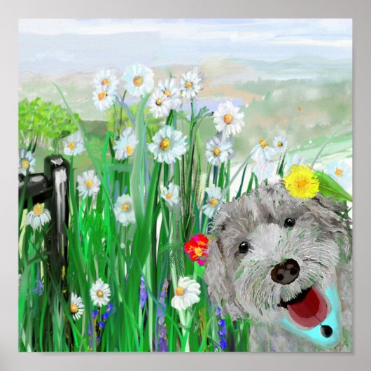 Cute, Funny Labradoedle Daisies Wall Art Poster (Voorkant)