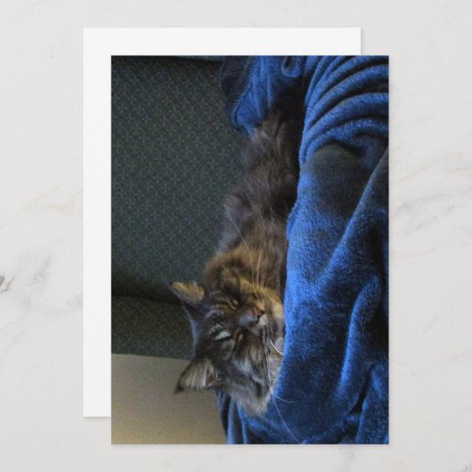 Cute Funny Maine Coon Cat Dreaming (Voorkant / Achterkant)