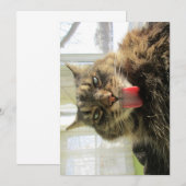 Cute Funny Maine Coon Cat Tongue (Voorkant / Achterkant)