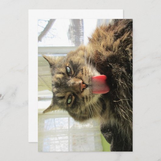 Cute Funny Maine Coon Cat Tongue (Voorkant / Achterkant)