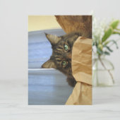 Cute Funny Maine Coon Kat dat ik hier niet ben (Staand voorkant)