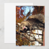 Cute Funny Maine Coon Kat Delicious (Voorkant / Achterkant)