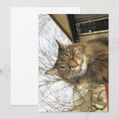 Cute Funny Maine Coon Kat zo blij (Voorkant / Achterkant)