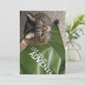 Cute Funny Maine Coon Kitty Cat de avonturier (Staand voorkant)