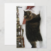 Cute Funny Maine Coon Kitty Cold Toes (Voorkant / Achterkant)