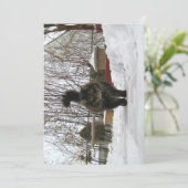 Cute Funny Maine Coon laat het sneeuwen (Staand voorkant)