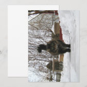 Cute Funny Maine Coon laat het sneeuwen (Voorkant / Achterkant)