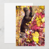 Cute Funny Maine Coon The Leaf Inspection (Voorkant / Achterkant)