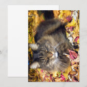 Cute Funny Maine Coon the Zo Happy (Voorkant / Achterkant)