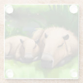 Cute Funny Napping Capybaras door Pond Glazen Onderzetter (Achterkant)