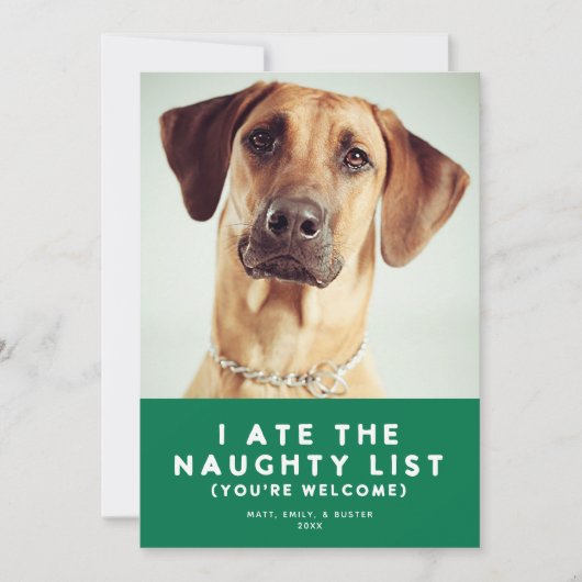 Cute Funny Naughty List Pet Holiday Photo Card Feestdagenkaart (Voorkant)