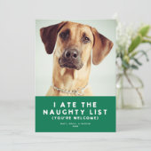 Cute Funny Naughty List Pet Holiday Photo Card Feestdagenkaart (Staand voorkant)