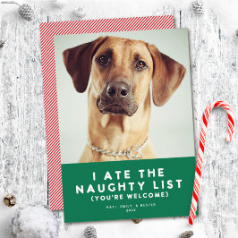 Cute Funny Naughty List Pet Holiday Photo Card Feestdagenkaart