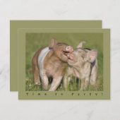 Cute Funny Piglets Birthday Party Kaart (Voorkant / Achterkant)