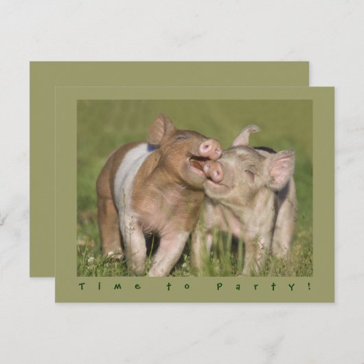 Cute Funny Piglets Birthday Party Kaart (Voorkant / Achterkant)