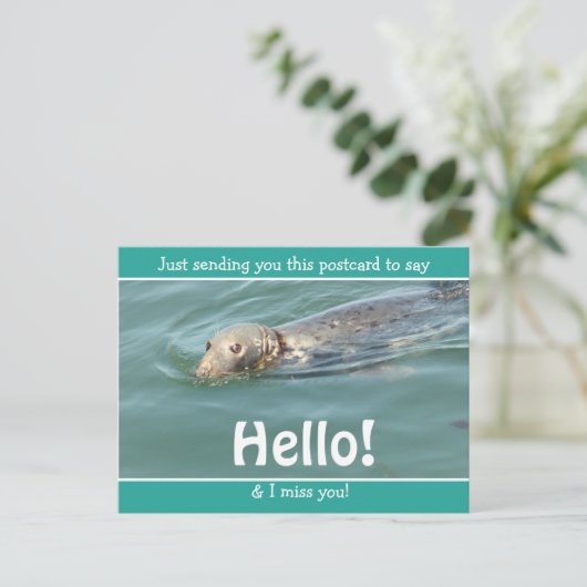 Cute Funny Seal Gewoon gezegde Hallo... Briefkaart (Staand voorkant)