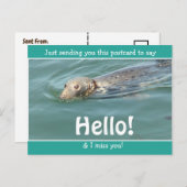 Cute Funny Seal Gewoon gezegde Hallo... Briefkaart (Voorkant / Achterkant)