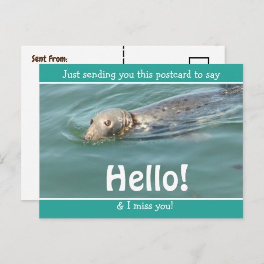 Cute Funny Seal Gewoon gezegde Hallo... Briefkaart (Voorkant / Achterkant)