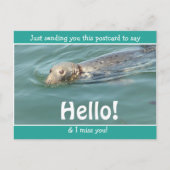 Cute Funny Seal Gewoon gezegde Hallo... Briefkaart (Voorkant)