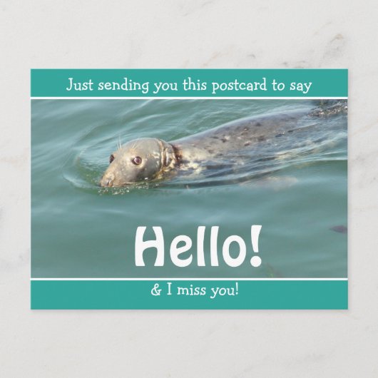 Cute Funny Seal Gewoon gezegde Hallo... Briefkaart (Voorkant)