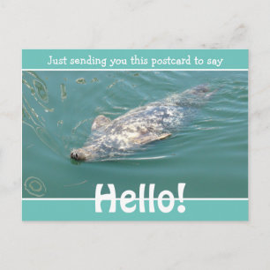 Cute Funny Seal Just gezegde Hallo Briefkaart
