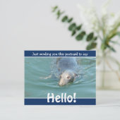 Cute Funny Seal Just gezegde Hallo Briefkaart (Staand voorkant)