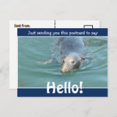 Cute Funny Seal Just gezegde Hallo Briefkaart (Voorkant / Achterkant)