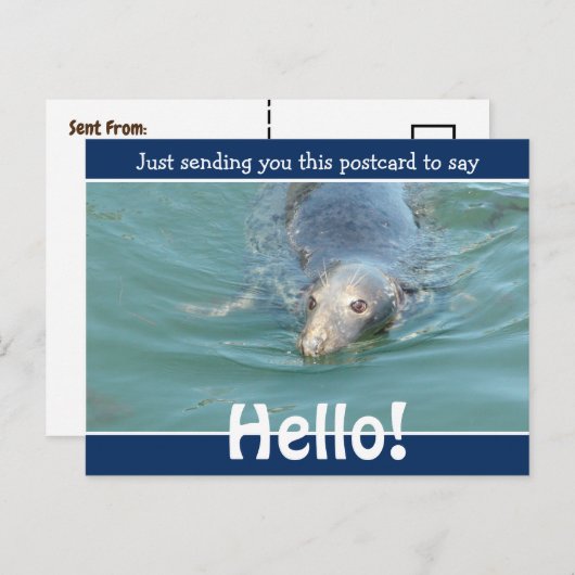 Cute Funny Seal Just gezegde Hallo Briefkaart (Voorkant / Achterkant)