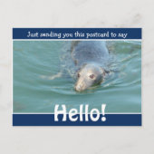 Cute Funny Seal Just gezegde Hallo Briefkaart (Voorkant)