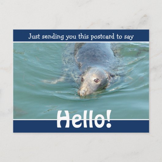 Cute Funny Seal Just gezegde Hallo Briefkaart (Voorkant)
