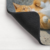 Cute Funny Shadowboxing Oranje Kat in de grind Muismat (Hoek)