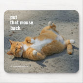 Cute Funny Shadowboxing Oranje Kat in de grind Muismat (Voorkant)