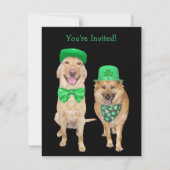 Cute, Funny St. Patrick's Day Irish Dogs Kaart (Voorkant)