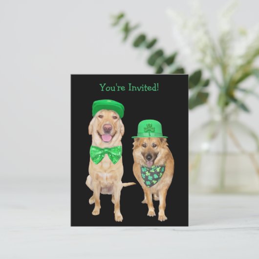 Cute, Funny St. Patrick's Day Irish Dogs Kaart (Staand voorkant)