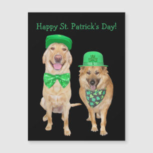 Cute, Funny St. Patrick's Day Irish Dogs Magnet Magnetische Uitnodiging