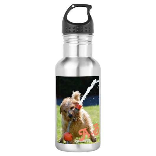 Cute Funny Summer Dog met slangen gepersonaliseerd Waterfles (Voorkant)