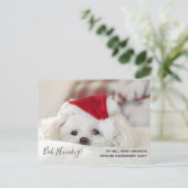 Cute Funny White Dog Kerstmis Bah Humbug Feestdagenkaart (Staand voorkant)